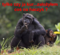 malpanarybach2