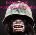 malpanarybach3