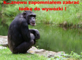 malpanarybach10