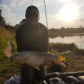 Karp Świniobudy
