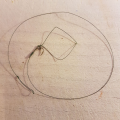 Lasso 1