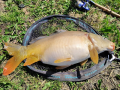 Karp Z. 