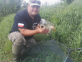 Otoczyno 6