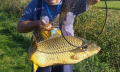 Karp