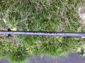 Sztyca Drennan Series 7 Rigid Carbon 2.6 m Net Pole
