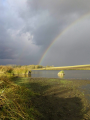 Burzową porą
