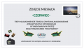 Konkurs czerwiec