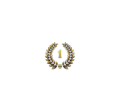1 aa