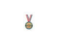 Medal Brązowy