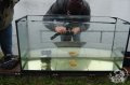 Feeder Maniak - testy