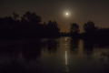 Nocka nad wodą