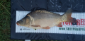 Karp PZW - 3