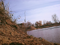 Dzięczyna