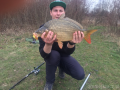 Karp 54 cm