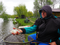 Oleśnikowa 02.05.2019 - 4