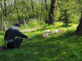 Olesnikowa 02.05.2019 - 13