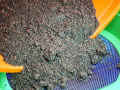 Super Feeder + F1 Dark