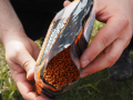 Stiki Method Pellets