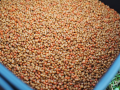 Stiki Method Pellets