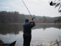 Zofiówka 10.11.2019