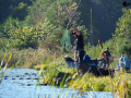 Carp Crew 1