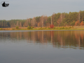 Batorówka 17.11.2019