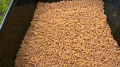 Pellety - 9
