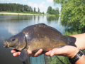 Batorówka 31.05.2018 - 6