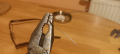 Clip 10