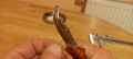 Clip 12