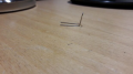 Clip 2