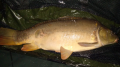 Karp3