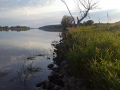Ognica