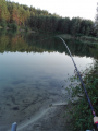 Daiwa_x ninja