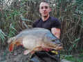 Karp 