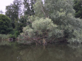 miejscowka