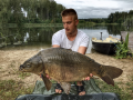 Karp niedamowo