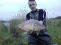 Karp pomarańczowy