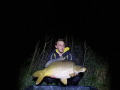 Karp