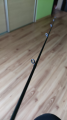 Mikado Trout 