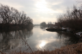Poranek nad Odrą