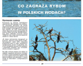 PZW