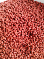 Pellet Carpio HR 2 mm