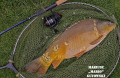 Karp - Piorunów. 3