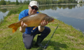 Karp 1