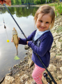 Pelet waggler