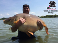 Carp world record 