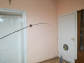 Daiwa Tournament SLR