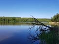Pierzchaly