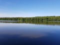 Pierzchaly